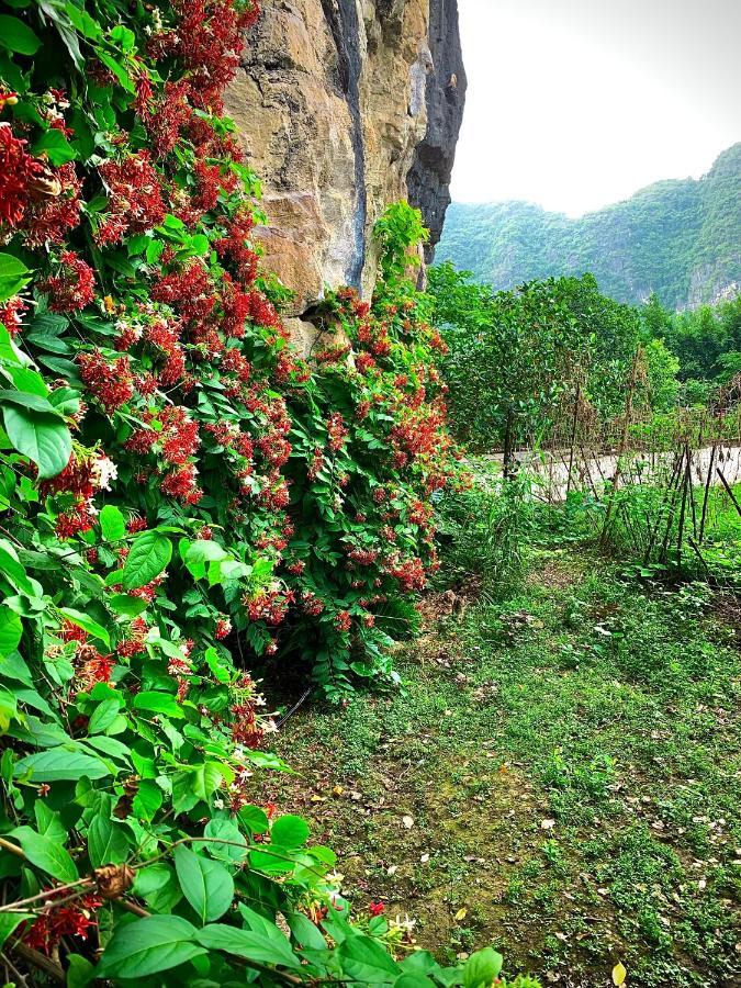 Trang An Valley Деревянный коттедж